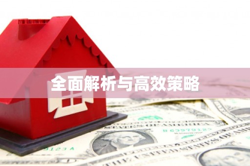 贞丰全面解析与高效策略