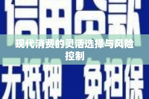 贞丰现代消费的灵活选择与风险控制