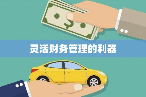 贞丰灵活财务管理的利器