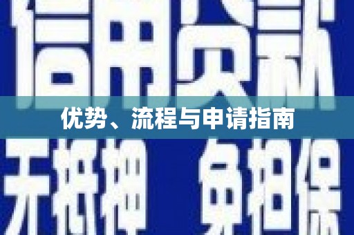 贞丰优势、流程与申请指南