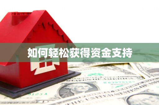 贞丰如何轻松获得资金支持