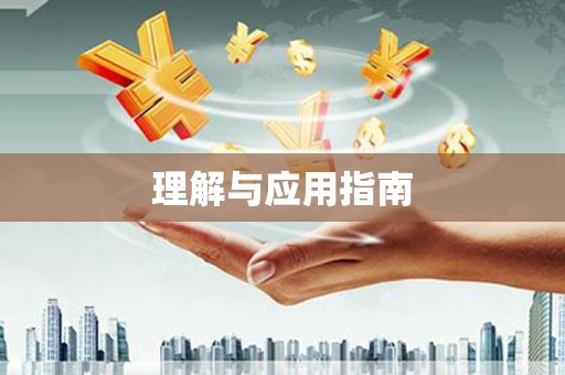 贞丰理解与应用指南