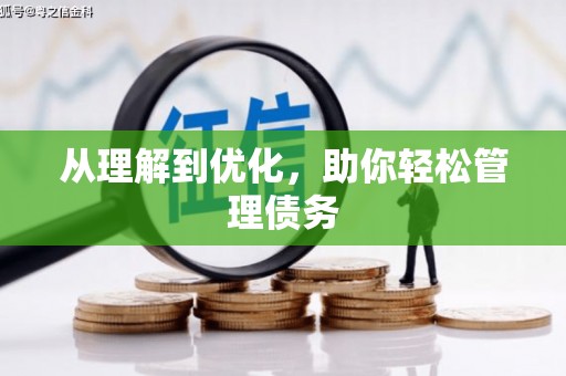 贞丰从理解到优化，助你轻松管理债务