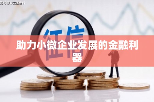 贞丰助力小微企业发展的金融利器