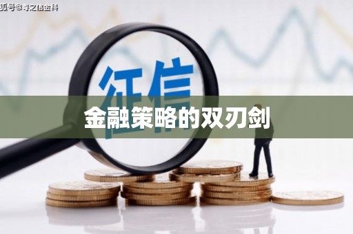 贞丰金融策略的双刃剑