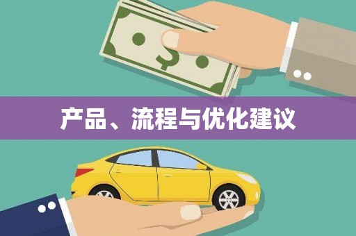 贞丰产品、流程与优化建议