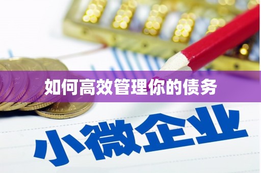 贞丰如何高效管理你的债务