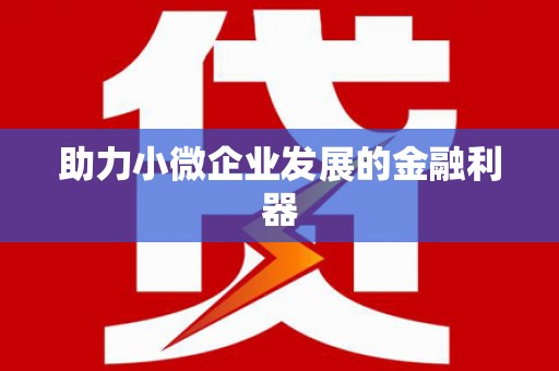 贞丰助力小微企业发展的金融利器