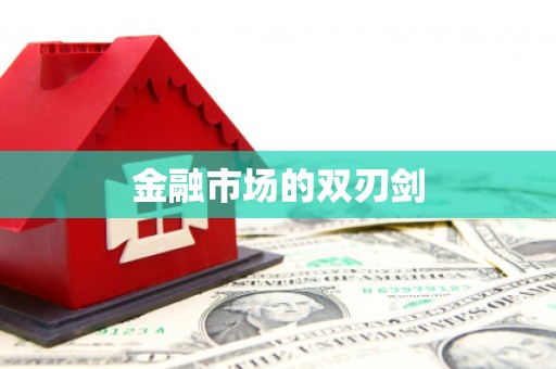 贞丰金融市场的双刃剑