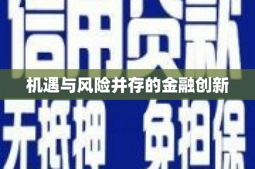 贞丰机遇与风险并存的金融创新