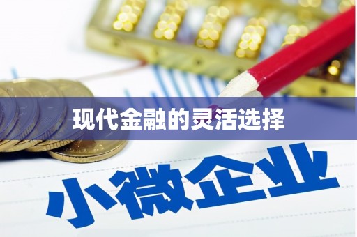 贞丰现代金融的灵活选择