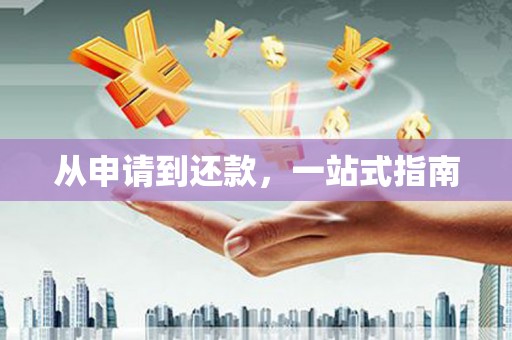 贞丰从申请到还款，一站式指南