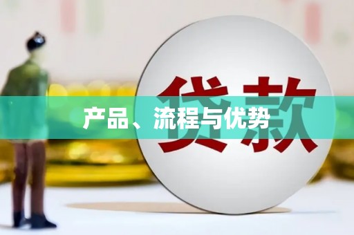 贞丰产品、流程与优势