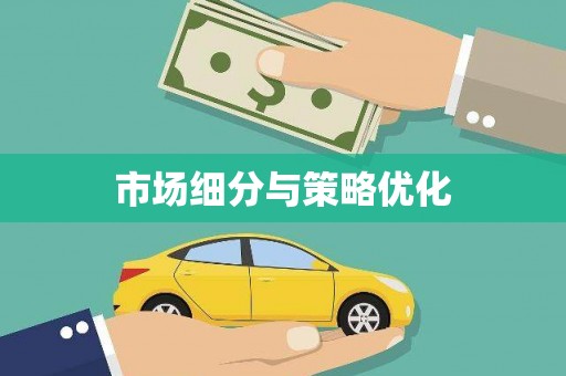 贞丰市场细分与策略优化