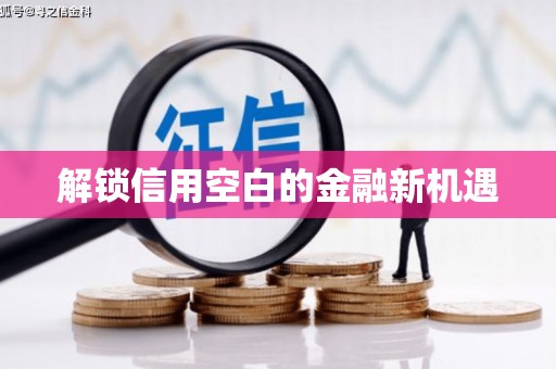 贞丰解锁信用空白的金融新机遇