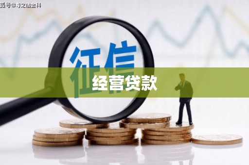 贞丰经营贷款