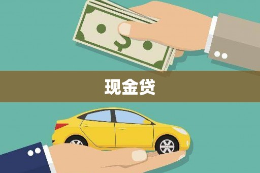 贞丰现金贷