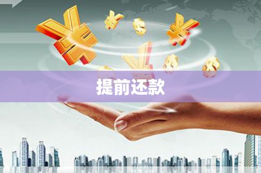 贞丰提前还款