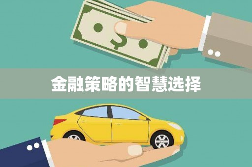 贞丰金融策略的智慧选择
