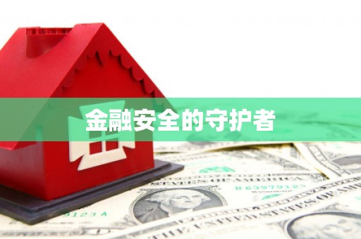 贞丰金融安全的守护者