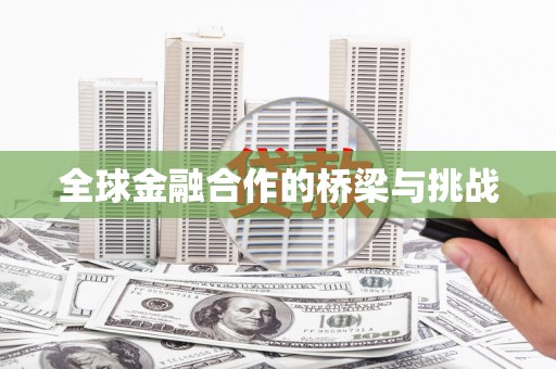 贞丰全球金融合作的桥梁与挑战