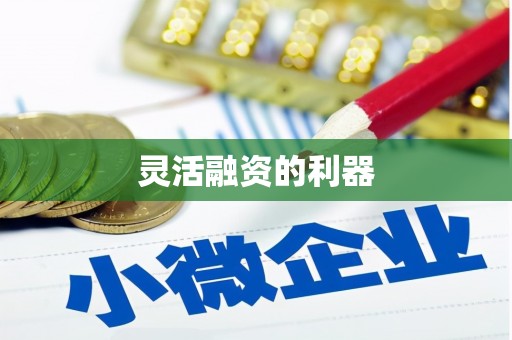 贞丰灵活融资的利器