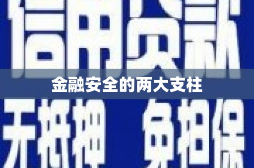 贞丰金融安全的两大支柱