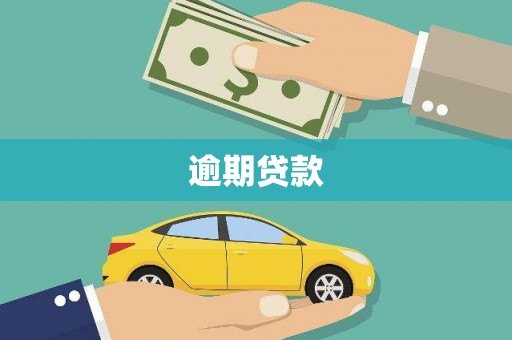 贞丰逾期贷款