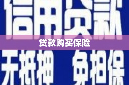 贞丰贷款购买保险