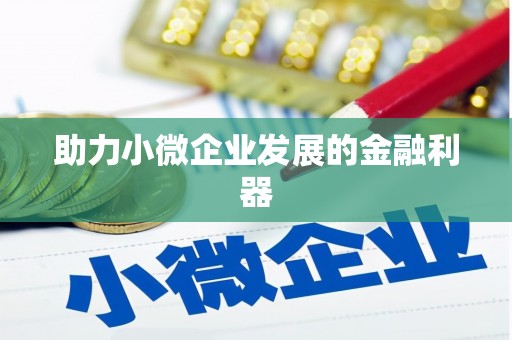 贞丰助力小微企业发展的金融利器
