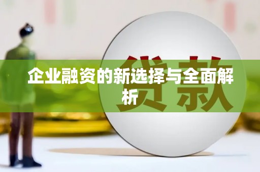 贞丰企业融资的新选择与全面解析