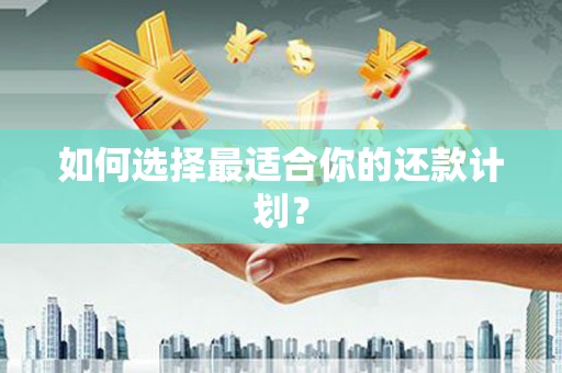 贞丰如何选择最适合你的还款计划？