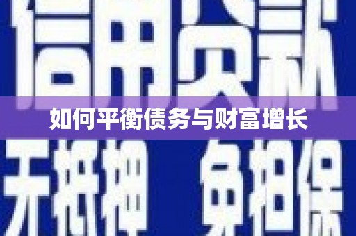 贞丰如何平衡债务与财富增长