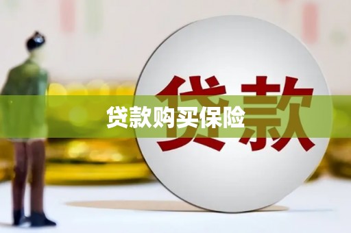 贞丰贷款购买保险