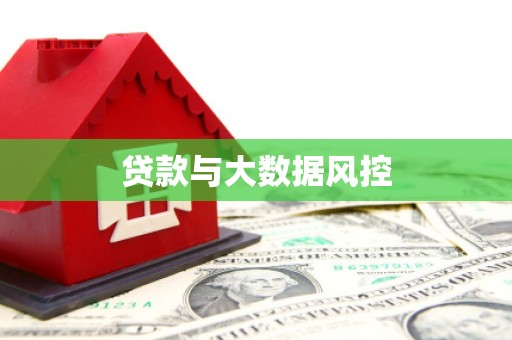 贞丰贷款与大数据风控