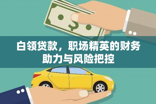 贞丰白领贷款，职场精英的财务助力与风险把控