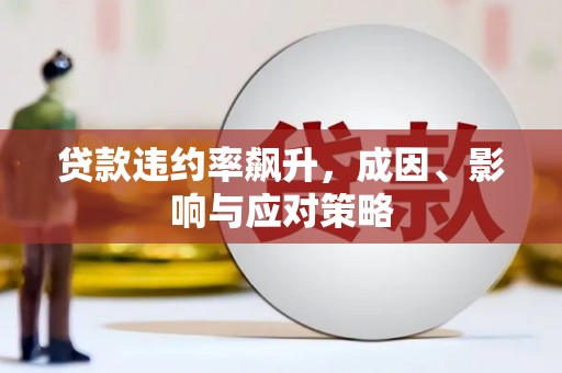 贞丰贷款违约率飙升，成因、影响与应对策略