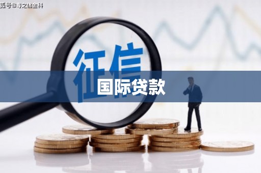 贞丰国际贷款
